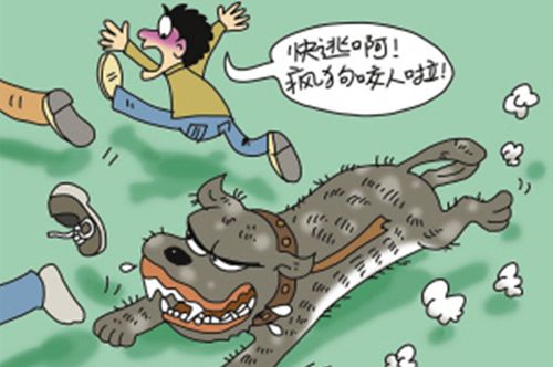 網(wǎng)站收錄在網(wǎng)站優(yōu)化中起到什么作用？