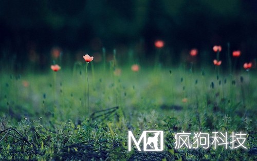 如何提高網(wǎng)站粘度，增加網(wǎng)站回頭客？