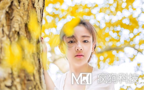 15個(gè)最佳外鏈建設技巧!