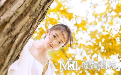 收藏：快速頁(yè)面收錄的六大絕技！